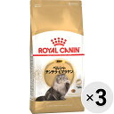【セット販売】ロイヤルカナン フィーライン ブリード ニュートリション ペルシャ・チンチラ・ヒマラヤン 成猫用 400g×3コ〔25020716cd〕〔2503...