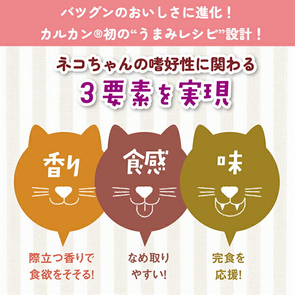 カルカン パウチ ゼリー仕立て 4種のおいしさ まぐろ・たい・かにかま・ささみ入り 60g×12コ〔260208106cw〕