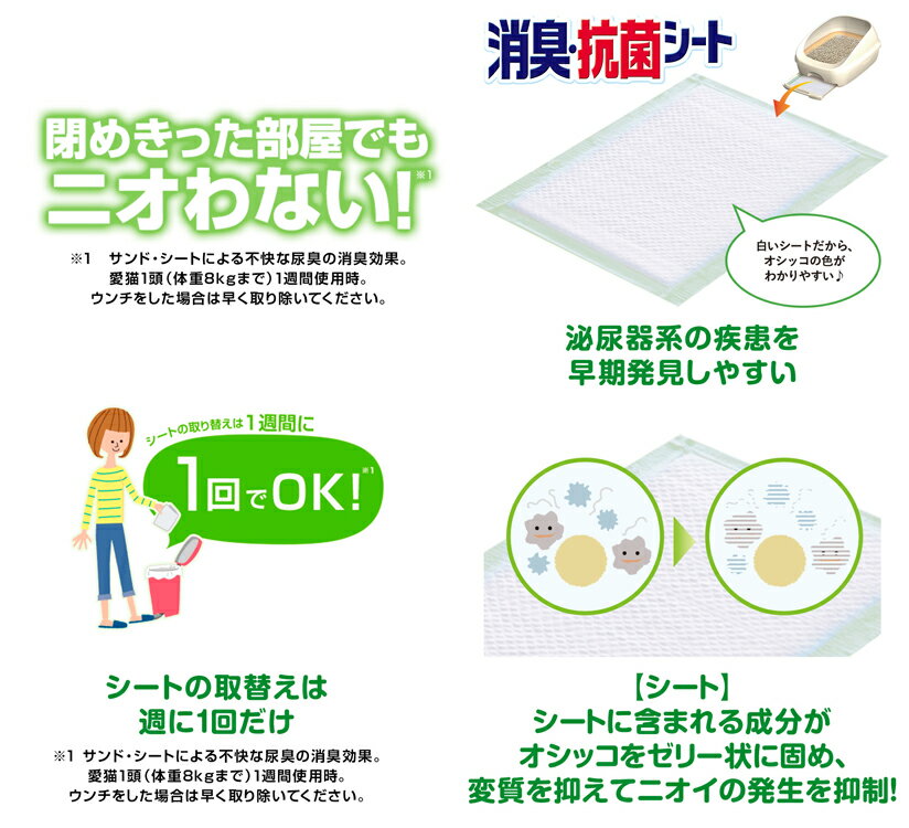 �ǥ��ȥ��� �դ�����ý������ݥ����� �ʥ����륬���ǥ�ι�� 10��