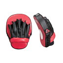 【ISAMI】イサミ BOXER ボクサー パンチングミットフィット IBX-10 1組売り