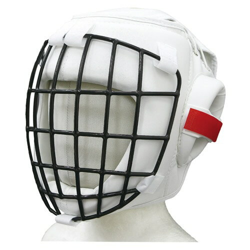 ISAMIۥߡ̥ɡʥåȡˡTT-25