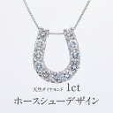 【送料無料】pt900【1.0ct】ダイヤモンド 馬蹄 ネックレス【GGSカード鑑別書】 ゴージャス 1カラット ジュエリー ダイヤ ダイヤモンドネックレス ダイヤペンダント プラチナ 幸運 お守り SIクラス 人気 ホースシュー ギフト プレゼント 誕生日 母の日 バテイ