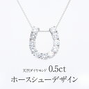 【送料無料】pt900/K18YG/PG【0.5ct】馬蹄モチーフ ダイヤモンド ネックレス ジュエリー ダイヤネックレス ダイヤモンドペンダント ホースシュー プラチナ 0.50 お守り 人気 ギフト プレゼント 誕生日 母の日 馬蹄ダイア 18k 18金 ゴールド