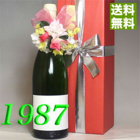 1987年 白ワイン ジャスニエール  750ml フランス ヴィンテージ ワイン ロワール 辛口 生まれ年 1987 昭和62年 プレゼント ギフト 誕生年 wine