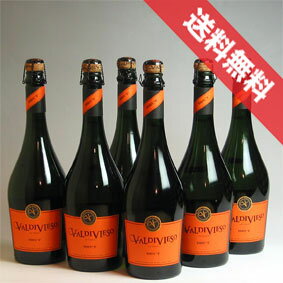 【送料無料】バルディビエソ　ブリュット　6本セットValdivieso Brut チリワイン/スパークリングワイン/辛口/750ml×6 【泡 発泡】【チリワインセット】【スパークリングワインセット】