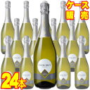 【送料無料】カペッタ ブリュット・スプマンテ ハーフボトル 375ml 24本セット・ケース販売 イタリアワイン 375ml 24【まとめ買い】【ケース売り】【セット】【スパークリングワイン】【シャンパン】【メルシャン】【キリン】