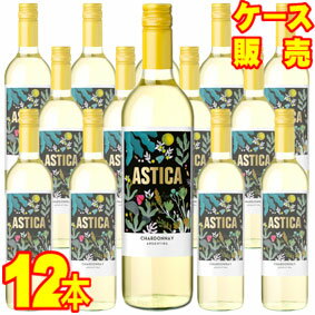 【送料無料】【トラピチェ】 アスティカ　シャルドネ　12本セット・ケース販売 アルゼンチンワイン/白ワイン/辛口【アスティカ】【アルゼンチンワイン】【メルシャン】