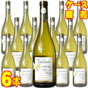 【送料無料】【ドメーヌ・ポール・マス】 レ・タンヌ オーガニック シャルドネ 6本セット・ケース販売 フランスワイン/白ワイン/辛口/750ml×6【モトックス...
