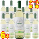 サルトーリ シャルドネ オーガニック 750ml 6本セット イタリア 白ワイン モトックス ケース販売 【取り寄せ品】 業務用 自然派ワイン wine