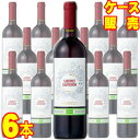 【送料無料】サルトーリ　カベルネ ソーヴィニヨン オーガニック 750ml×6本 イタリア 赤ワイン モトックス ケース販売 業務用 自然派ワイン wine