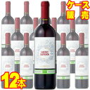 サルトーリ カベルネ ソーヴィニヨン オーガニック 750ml×12本 イタリア 赤ワイン モトックス ケース販売 業務用 自然派ワイン wine