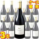 【送料無料】カベルネ フラン ラ ベルジュロネット 750ml 3本セット ケース販売【正規品・取り寄せ品】シャトー フルール ゴーサン フランスワイン/ボルドー/赤ワイン/重口/フルボディ/750ml×3【まとめ買い】【ケース売り】【業務用】
