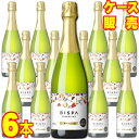  ビスパ　6本セット　ケース販売 スペイン/カタルーニャ/スパークリングワイン/辛口/750ml×6