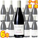 【送料無料】コート デュ ローヌ ルージュ キュヴェ ソムロング 750ml×6本 ケース販売【正規品・取り寄せ品】アンドレ ブルネル フランスワイン/コート デュ ローヌ/赤ワイン/重口/フルボディ/750ml×6【まとめ買い】【ケース売り】【業務用】