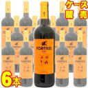 フォルティウス　ロブレ　テンプラニーリョ 750ml×6本　ケース販売ボデガス バルカルロス スペインワイン/ナバーラ/赤ワイン/辛口/750ml×6