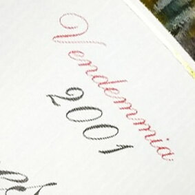 【送料無料】 2001年 バルバレスコ　リゼルヴァ [2001] イタリア ワイン /ピエモンテ/ 赤ワイン /ミディアムボディ/750ml/サロット [2001] 平成13年 お誕生日 結婚式 結婚記念日 成人 プレゼント 誕生年 生まれ年 wine 成人式 20周年 二十周年