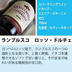 ■送料無料■世界のスパークリングワイン 辛口から甘口まで フルボトル6本セットVer.5 【ワイン プレゼント ギフト お酒】【シャンパン スパークリングワイン セット】【泡 発泡】【楽天 通販 販売 お酒】