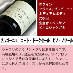 ■送料無料■ブルゴーニュワインの魅力をビオワイ...の紹介画像3