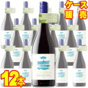 【送料無料】ガンマ オーガニック ピノ・ノアール レセルバ 赤 750ml　12本セット・ケース販売 ベサ/チリワイン/赤ワイン/中口/750ml×12【自然派ワイン ビオワイン 有機ワイン 有機栽培ワイン bio オーガニックワイン】【モトックス_646179】