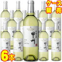 【送料無料】【サントネージュ ワイン】 山梨産　甲州 750ml　6本セット・ケース販売 日本ワイン/白ワイン/辛口/750ml×6【お酒】【1cs】【まとめ買い】【ケース売り】【業務用】【セット】【アサヒビール】【国産ワイン】