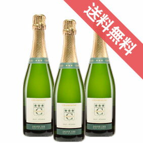 シャピュイ　ブリュット・レゼルヴ　ブラン・ド・ブラン　ハーフボトル　3本セットChapuy Brut Reserve Blanc de Blancsシャピュイ/フランス/シャンパーニュ/シャンパン/辛口/375ml×3 