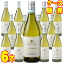 アメデーオ クストーツァ スペリオーレ 750ml 6本セット ケース販売【正規品・取り寄せ品】カヴァルキーナ イタリアワイン/白ワイン/辛口/ 750ml × 6 【まとめ買い】【ケース売り】【業務用】【稲葉】