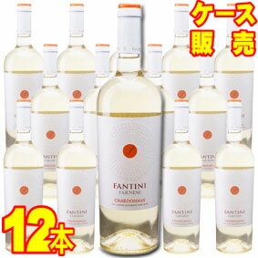 【送料無料】ファンティーニ　シャルドネ　750ml　12本セット　ケース販売【正規品・取り寄せ品】ファンティーニ （ファルネーゼ） イタリアワイン/白ワイン/辛口/750ml×12【ケース売り】【業務用】