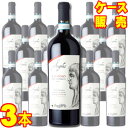 アンゲルス ファレルノ デル マッシコ ロッソ 750ml 3本セット ケース販売【正規品・取り寄せ品】ファットリア パガーノ イタリアワイン/赤ワイン/重口/ 750ml × 3 【まとめ買い】【ケース売り】【業務用】【稲葉】