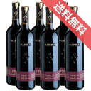 【正規品・取り寄せ品】【送料無料】ヴィプラ ロッサ 6本セット ビジ/イタリアワイン/ウンブリア/赤ワイン/ライトボディ/750ml×6【フードライナー】【707】