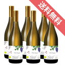 ルート・デュ・ソレイユ オーガニック ブラン ハーフボトル 6本セット Route Du Soleil Organic Blanc 1/2 ルート・デュ・ソレイ...