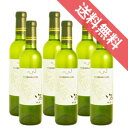 いろ甲州 ハーフボトル 6本セット Iro Koshuu 375ml まるき葡萄酒/日本ワイン/国産/山梨県/白ワイン/辛口/ 375ml × 6 【楽天 通販 販売】【まとめ買い 業務用にも】