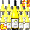 ヴァン ド フランス ソーヴィニヨン 750ml 6本セット ケース販売【正規品・取り寄せ品】クロード ラフォン フランスワイン/ロワール/白ワイン/辛口/ 7...