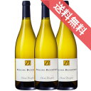 マコン ビュシエール 750ml 3本セット ケース販売【正規品・取り寄せ品】ダヴィド ビアンフェ フランスワイン/ブルゴーニュ/白ワイン/辛口/ 750ml × 3 【まとめ買い】【ケース売り】【業務用】