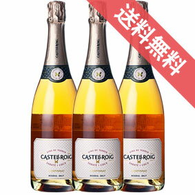 【送料無料】カステルロッチ　レセルバ　ブルット　ロゼ　750ml　3本セット　ケース販売【正規品・取り寄せ品】カステルロッチ スペインワイン/スパークリングワイン/辛口/750ml×3【まとめ買い】【ケース売り】【業務用】