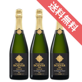 【送料無料】ボヴェール　レ・ダム・ド・フランス　ブリュット　ハーフボトル　3本セット　Bover Les Dames de France Brut 375ml　ボヴェール A&S/フランスワイン/シャンパーニュ/シャンパン/ スパークリングワイン/辛口/375ml×3　【まとめ買い 業務用にも！】