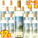 【送料無料】エル ニーニョ イ ラ ルナ ブランコ 750ml 12本セット ケース販売【正規品・取り寄せ品】パラへス デル ヴィノ スペインワイン/白ワイン/...