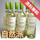 自然派ワインセット
