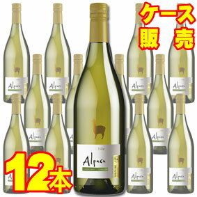 【送料無料】【サンタ ヘレナ】 アルパカ シャルドネ セミヨン 12本セット ケース販売 チリワイン/白ワイン/辛口/Dry/750ml×12【アルパカワイン】【サンタヘレナ】【チリワイン12本セット】【Alpaca】【アサヒビール】【ケース売り】【業務用】SH