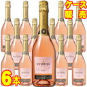 【送料無料】【コンチャ・イ・トロ】 サンライズ スパークリング ロゼ 6本セット・ケース販売 チリワイン/泡/スパークリングワイン/辛口/750ml×6【サンラ...