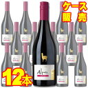 【送料無料】【サンタ・ヘレナ】 アルパカ　ピノ・ノワール　12本セット・ケース販売 チリワイン/赤ワイン/ミディアムボディ/中口/750ml×12【アルパカワイン】【チリワイン12本セット】【Alpaca】【アサヒビール】【ケース売り】【サンタヘレナ】SH