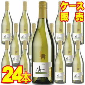 【送料無料】【サンタ・ヘレナ】 アルパカ　シャルドネ・セミヨン　ハーフボトル 375ml　24本セット・ケース販売 チリワイン/白ワイン/辛口/Dry/375ml×24【アルパカワイン】【サンタヘレナ】【チリワイン24本セット】【Alpaca】【ケース売り】【業務用】SH