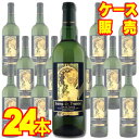 【送料無料】【ジネステ社】 ダム・ド・フランス・ブラン　375ml　ハーフボトル　24本セット・ケース販売 フランスワイン/白ワイン/辛口/中口/375ml×24【まとめ買い】【ケース売り】【業務用】【セット】【アサヒビール】