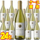 チリワインセット