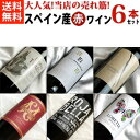 ■送料無料■　当店の売れ筋・大人気スペイン産のおすすめ赤ワイン！　スペインワイン飲み比べ6本セット【スペインワインセット 6本セット】【赤ワインセット】【送料込み・送料無料】【楽天 通販 販売】