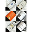 ■送料無料■メルローづくし 世界のメルロー種 ミディアムボディの飲み比べ6本セットVer.11 【ワイン プレゼント ギフト お酒】【赤ワインセット】【楽天 通...