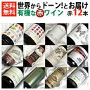 ■□送料無料□■　有機な赤ワインセットフルボトル12本セットVer.24 世界からど〜んとお届け【自然派ワイン ビオワイン 有機ワイン 有機栽培ワイン bio オーガニックワインセット】【オンライン飲み会】