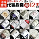 ■□送料無料□■ノムリエさんのための 赤ワイン 代表品種 飲み比べ12本セットVer.4 ソムリエ試験の勉強を疑似体験！【飲み比べS】【赤ワインセット】【ワインセット 12本】【楽天 通販 販売】【オンライン飲み会】