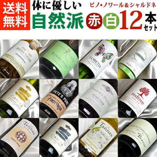 ■□送料無料□■　自然派　人気の品種ピノノワール＆シャルドネ　飲み比べ赤白12本セットVer.13 送料込み【赤白ワインセット】【自然派ワイン ビオワイン 有機ワイン bio オーガニックワインセット ピノノワール　シャルドネー】