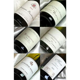 ■送料無料■ブルゴーニュワインの魅力をビオワイン...の商品画像