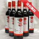 アウローラ エラ シラー 6本セット Aurora Era Syrah イタリア ワイン/赤ワイン/ミディアムボディ/750ml×6【自然派ワイン ビオワイン オーガニックワイン 有機栽培ワイン】【イタリアワインセット】【赤ワインセット】